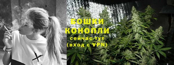 бошки Заводоуковск